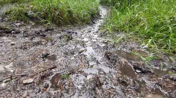 Free download REWILDING EDUCATION video and edit with RedcoolMedia movie maker MovieStudio video editor online and AudioStudio audio editor onlin