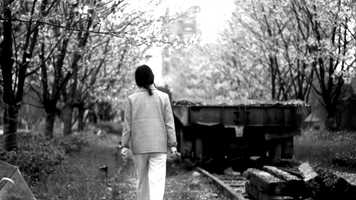 Free download Ria video and edit with RedcoolMedia movie maker MovieStudio video editor online and AudioStudio audio editor onlin