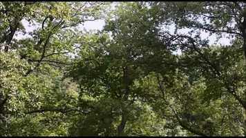 Free download Richard Liegeois - The Intern - Remise en musique video and edit with RedcoolMedia movie maker MovieStudio video editor online and AudioStudio audio editor onlin