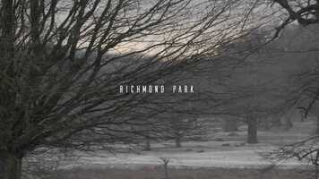 Free download Richmond Park in the snow video and edit with RedcoolMedia movie maker MovieStudio video editor online and AudioStudio audio editor onlin