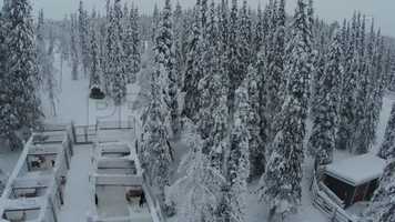 Free download Riding A Dog Sleigh Stock Video video and edit with RedcoolMedia movie maker MovieStudio video editor online and AudioStudio audio editor onlin