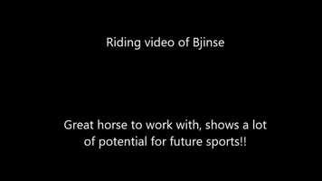 Free download Riding video of Bjinse - very tall and great moving 4 year old Friesian stallion sired by Thorben 466 Sport-Elite x Olgert 445 S video and edit with RedcoolMedia movie maker MovieStudio video editor online and AudioStudio audio editor onlin
