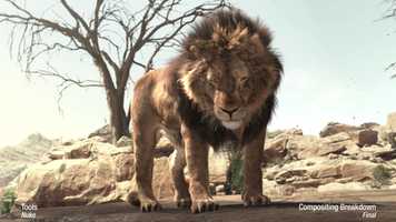 Free download Rigging VFX Showreel 2019 video and edit with RedcoolMedia movie maker MovieStudio video editor online and AudioStudio audio editor onlin