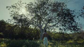 Free download RIJKSMUSEUM SLAVERY EXHIBITION DIRECTORS CUT video and edit with RedcoolMedia movie maker MovieStudio video editor online and AudioStudio audio editor onlin