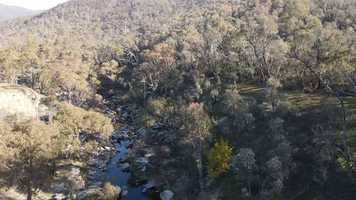 Free download Ripe Music  Arts video and edit with RedcoolMedia movie maker MovieStudio video editor online and AudioStudio audio editor onlin