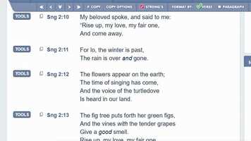 Free download Rise Up My Love Song of Melody By Susan Joy Dahl video and edit with RedcoolMedia movie maker MovieStudio video editor online and AudioStudio audio editor onlin