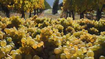 Free download RISING ACTION PICTURES video and edit with RedcoolMedia movie maker MovieStudio video editor online and AudioStudio audio editor onlin