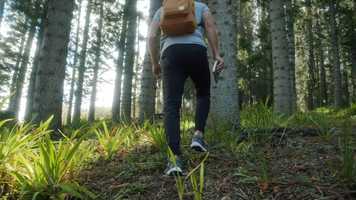 Free download RisingSeaLevels-murdoch-final video and edit with RedcoolMedia movie maker MovieStudio video editor online and AudioStudio audio editor onlin