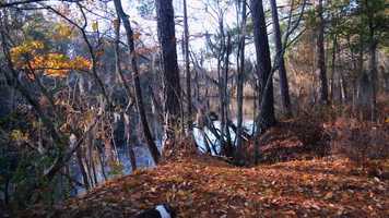 Free download River Music video and edit with RedcoolMedia movie maker MovieStudio video editor online and AudioStudio audio editor onlin