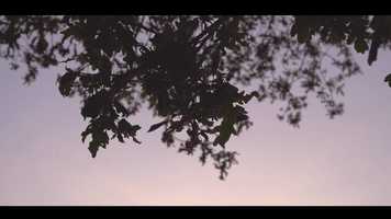 Free download Riverside video and edit with RedcoolMedia movie maker MovieStudio video editor online and AudioStudio audio editor onlin