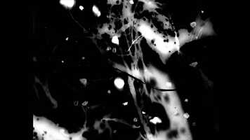 Free download River Traces Extract video and edit with RedcoolMedia movie maker MovieStudio video editor online and AudioStudio audio editor onlin