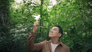 Free download RỪNG video and edit with RedcoolMedia movie maker MovieStudio video editor online and AudioStudio audio editor onlin