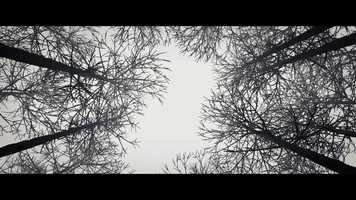 Free download ROAD CROSS video and edit with RedcoolMedia movie maker MovieStudio video editor online and AudioStudio audio editor onlin