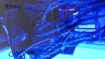 Free download Road To Know Where, an exhibition by Olga Fedorova  Joachim Coucke, at Tatjana Pieters, Ghent video and edit with RedcoolMedia movie maker MovieStudio video editor online and AudioStudio audio editor onlin