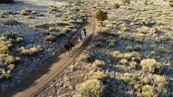 Free download Roam Rider video and edit with RedcoolMedia movie maker MovieStudio video editor online and AudioStudio audio editor onlin