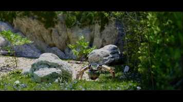 Free download Roar Trailer in MK3.mov video and edit with RedcoolMedia movie maker MovieStudio video editor online and AudioStudio audio editor onlin