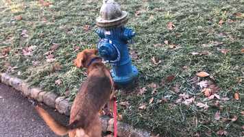 Free download Rob Barnett Media: Video 392 - Adult Swim and Cartoon Network President (3:00) video and edit with RedcoolMedia movie maker MovieStudio video editor online and AudioStudio audio editor onlin