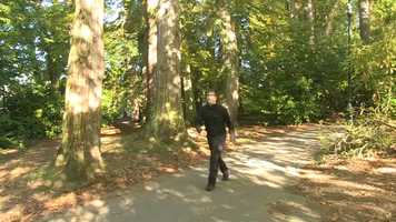 Free download Rock Star Monster Movie - Eden Court video and edit with RedcoolMedia movie maker MovieStudio video editor online and AudioStudio audio editor onlin