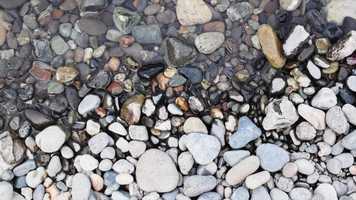 Free download Rogue River, 2020 video and edit with RedcoolMedia movie maker MovieStudio video editor online and AudioStudio audio editor onlin