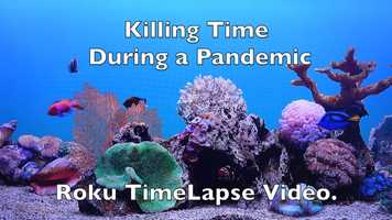 Free download Roku Time Lapse Short video and edit with RedcoolMedia movie maker MovieStudio video editor online and AudioStudio audio editor onlin