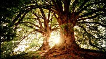 Free download Romantic meditation music hot 2021 funny video and edit with RedcoolMedia movie maker MovieStudio video editor online and AudioStudio audio editor onlin