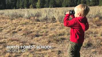 Free download Roots Forest School video and edit with RedcoolMedia movie maker MovieStudio video editor online and AudioStudio audio editor onlin
