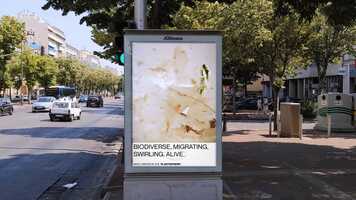 Free download RoPlasticPrize 2021 - Who Thrives in the Plastisphere? video and edit with RedcoolMedia movie maker MovieStudio video editor online and AudioStudio audio editor onlin