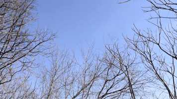 Free download RoughCutSelfPort video and edit with RedcoolMedia movie maker MovieStudio video editor online and AudioStudio audio editor onlin