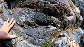 Free download Row Adventures - River Rafting Trip - Trailer video and edit with RedcoolMedia movie maker MovieStudio video editor online and AudioStudio audio editor onlin