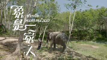 Free download 【 RTHK《看見溫度》第二輯：象是一家人】（1080P 高清版 預告片 附中文字幕） video and edit with RedcoolMedia movie maker MovieStudio video editor online and AudioStudio audio editor onlin