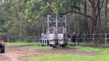 Free download Rubick x Tale of Fun and Maurice x Chateline video and edit with RedcoolMedia movie maker MovieStudio video editor online and AudioStudio audio editor onlin