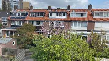 Free download Ruischenstein 10 video and edit with RedcoolMedia movie maker MovieStudio video editor online and AudioStudio audio editor onlin