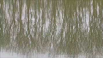 Free download Ruis video and edit with RedcoolMedia movie maker MovieStudio video editor online and AudioStudio audio editor onlin