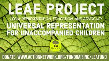 Free download Rump Dating App   A Fowl American video and edit with RedcoolMedia movie maker MovieStudio video editor online and AudioStudio audio editor onlin