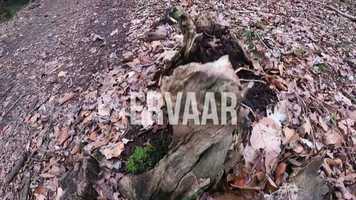 Free download Running Bootcamp bij Fun Fit Steenwijk video and edit with RedcoolMedia movie maker MovieStudio video editor online and AudioStudio audio editor onlin