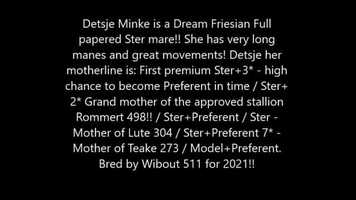 Free download Running free video of Detsje Minke - Full papered Ster mare sired by Norbert 444 Sport+Pref x Wierd 409 Sport video and edit with RedcoolMedia movie maker MovieStudio video editor online and AudioStudio audio editor onlin