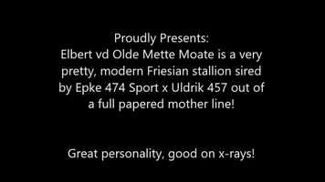 Free download Running free video of Elbert - KFPS Friesian stallion for sale born in 2017 sired by Epke 474 Sport x Uldrik 457 video and edit with RedcoolMedia movie maker MovieStudio video editor online and AudioStudio audio editor onlin