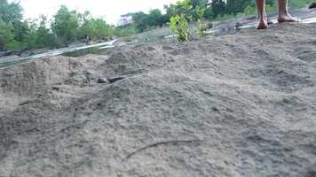 Free download rushing video and edit with RedcoolMedia movie maker MovieStudio video editor online and AudioStudio audio editor onlin