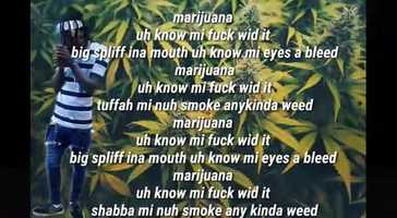 Free download Rycon D Emperor-Marijuana(Official Song Lyrics) video and edit with RedcoolMedia movie maker MovieStudio video editor online and AudioStudio audio editor onlin