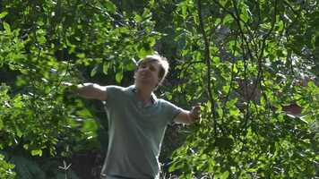 Free download Sacha, un nio de Chernobyl ( triler) video and edit with RedcoolMedia movie maker MovieStudio video editor online and AudioStudio audio editor onlin