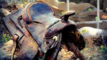 Free download SADDLE OF HOPE OFFICIAL TRAILER video and edit with RedcoolMedia movie maker MovieStudio video editor online and AudioStudio audio editor onlin