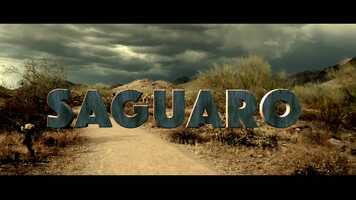 Free download SAGUARO video and edit with RedcoolMedia movie maker MovieStudio video editor online and AudioStudio audio editor onlin