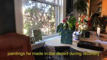 Free download Sakura Genesis video and edit with RedcoolMedia movie maker MovieStudio video editor online and AudioStudio audio editor onlin