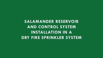 Free download Salamander Reservoir: Dry System Animation video and edit with RedcoolMedia movie maker MovieStudio video editor online and AudioStudio audio editor onlin