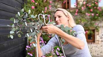 Free download SalCal (Full Film).mp4 video and edit with RedcoolMedia movie maker MovieStudio video editor online and AudioStudio audio editor onlin