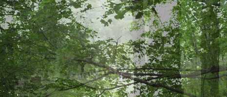 Free download Sal Rendino voiceover -- Grave Encounter film video and edit with RedcoolMedia movie maker MovieStudio video editor online and AudioStudio audio editor onlin