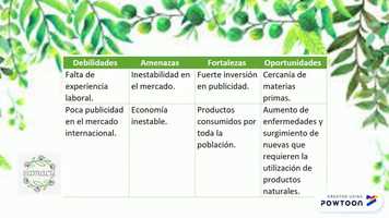 Free download Samaly video and edit with RedcoolMedia movie maker MovieStudio video editor online and AudioStudio audio editor onlin