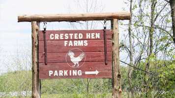 Free download Samantha  Jerry Trailer video and edit with RedcoolMedia movie maker MovieStudio video editor online and AudioStudio audio editor onlin