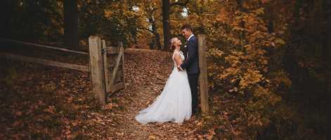 Free download Samantha + Matt / Bartram Gardens video and edit with RedcoolMedia movie maker MovieStudio video editor online and AudioStudio audio editor onlin