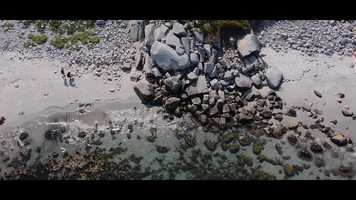 Free download Sambro video and edit with RedcoolMedia movie maker MovieStudio video editor online and AudioStudio audio editor onlin